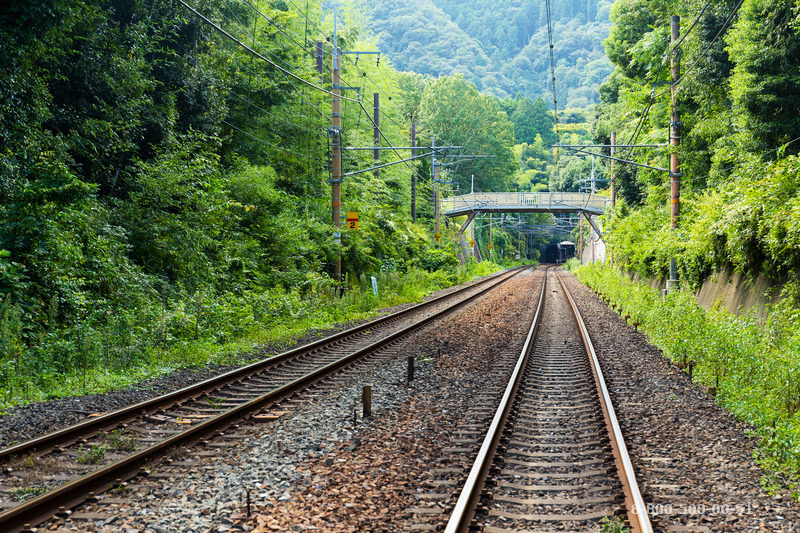 train-tracks-2022-09-16-03-55-19-utc-1.jpg