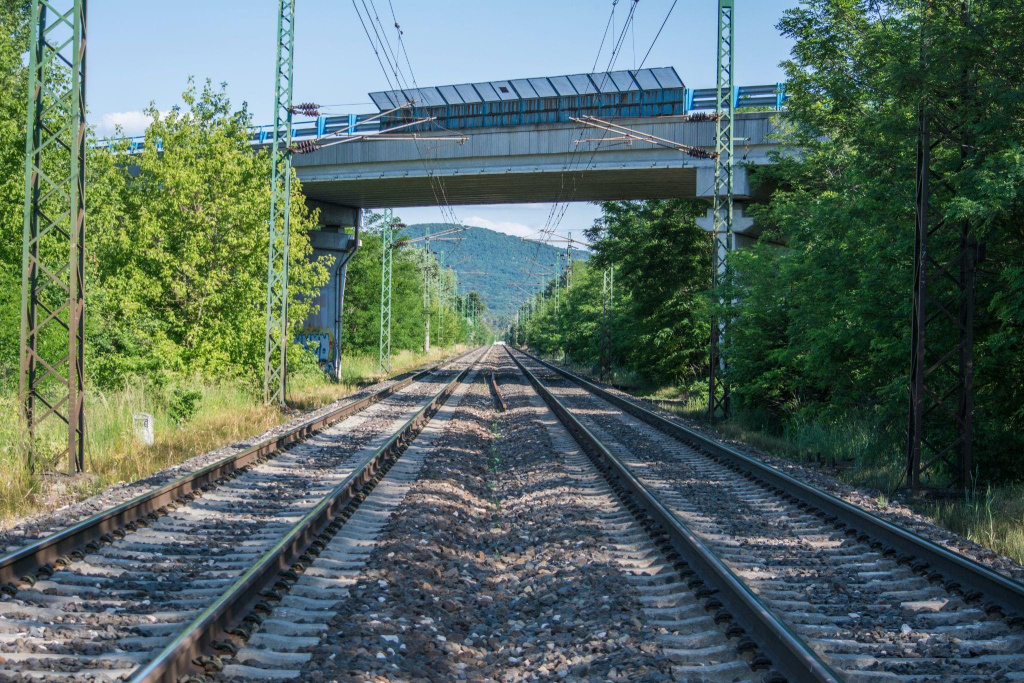 2.jpg мост, деревья